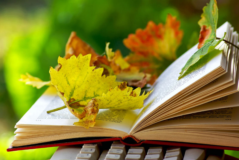 تک نسخه ای، قدیمی و کلکسیونی